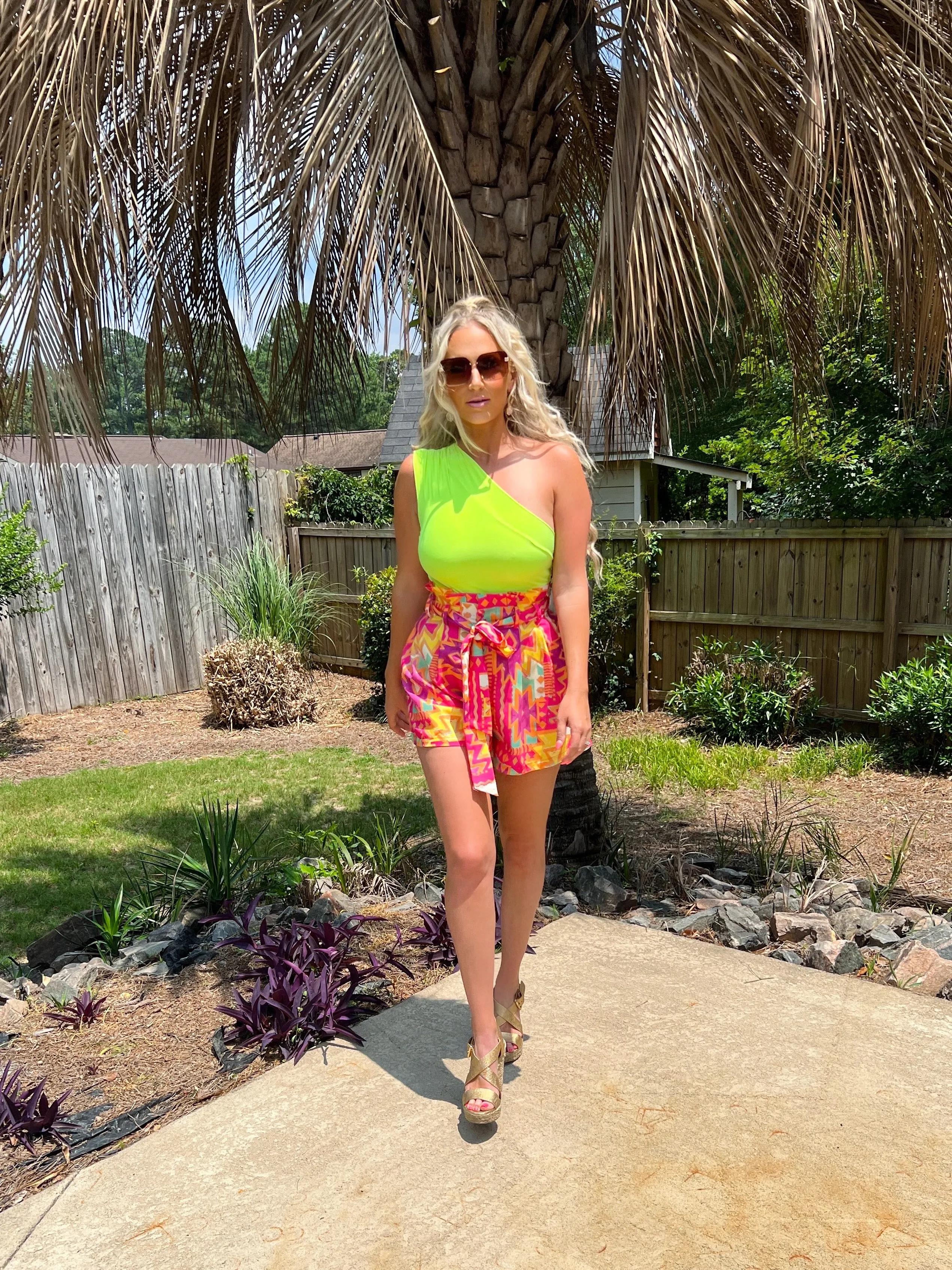 Kapowski High Waisted Shorts