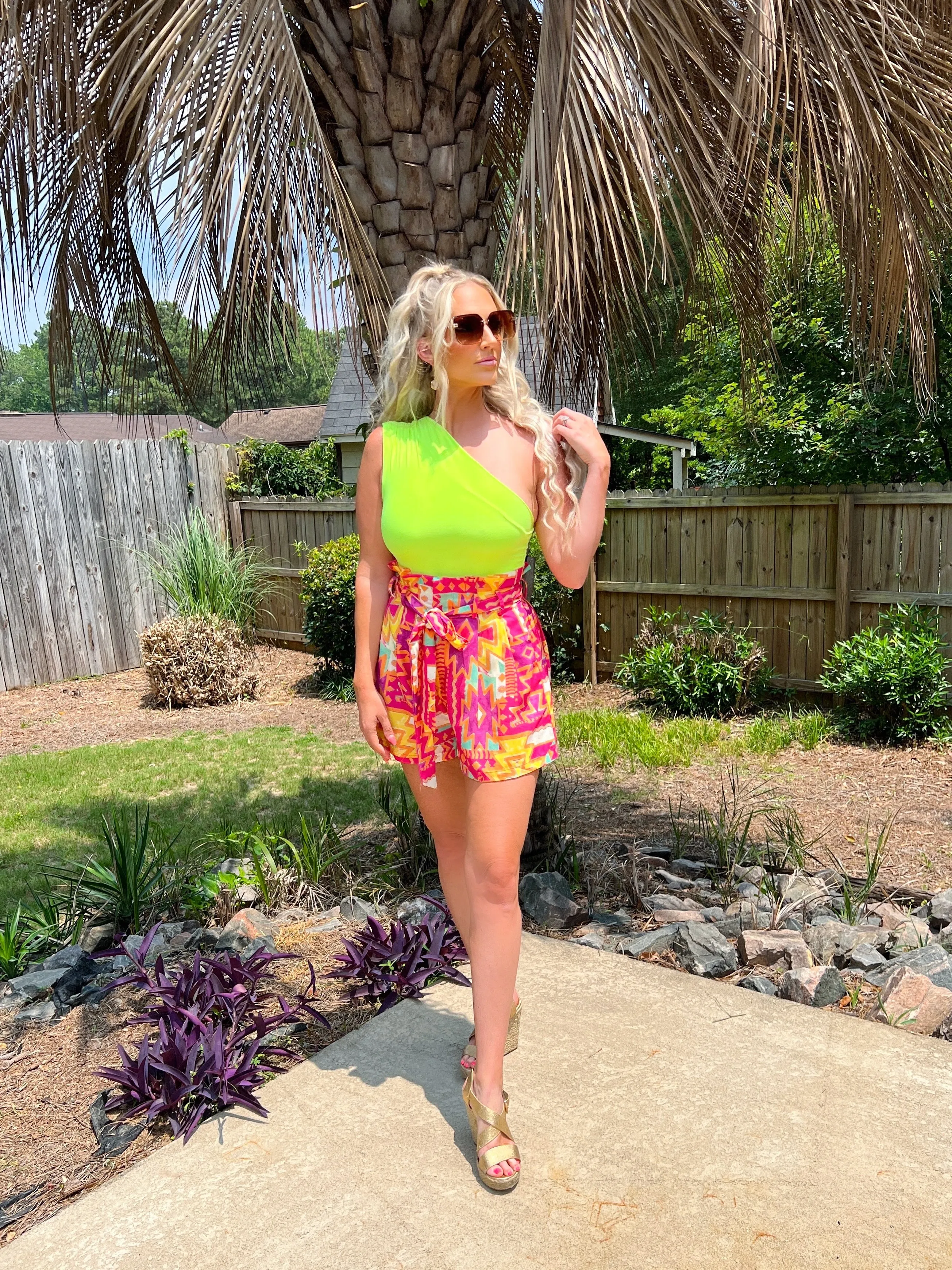 Kapowski High Waisted Shorts